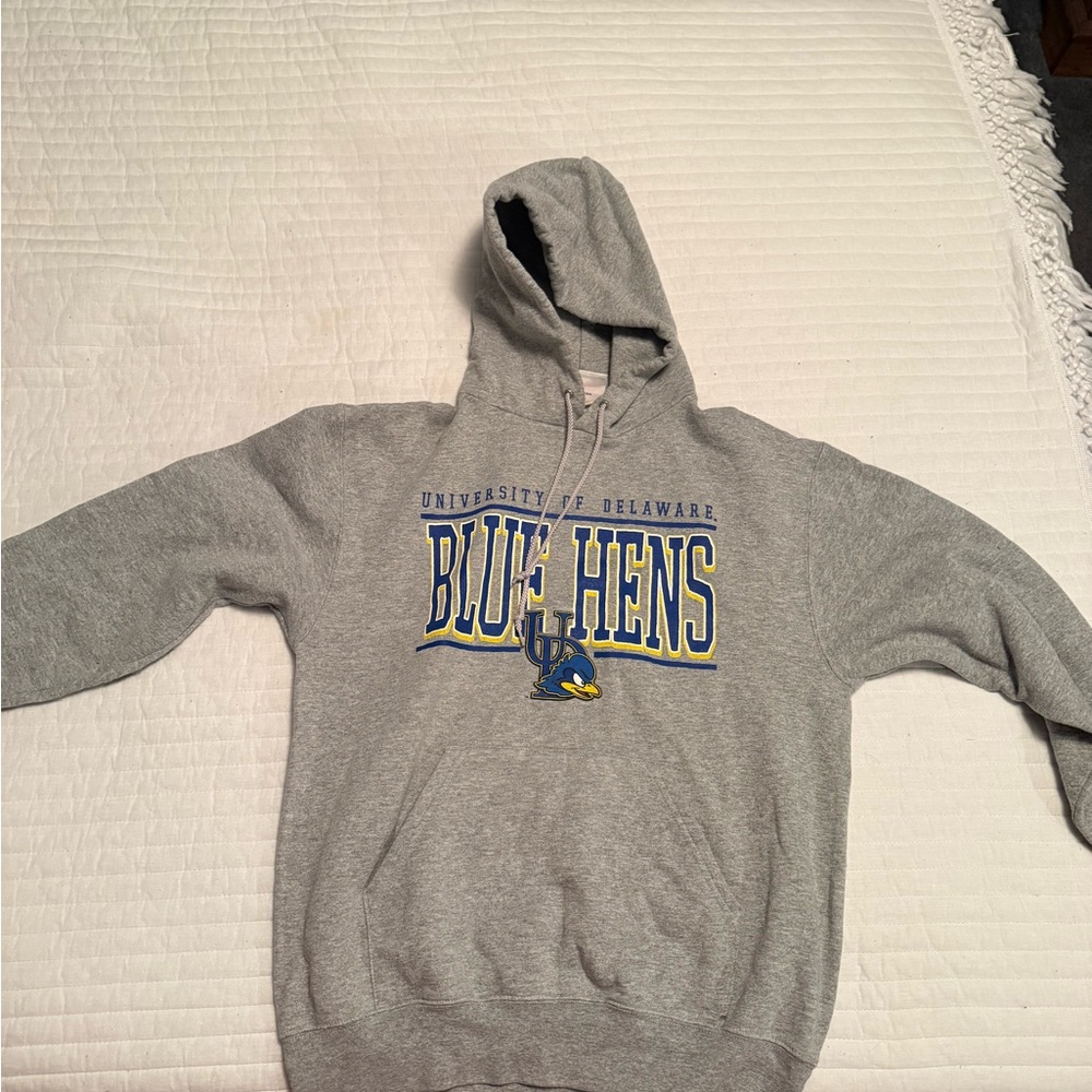 University of Delaware Gray Hoodie